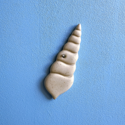 Strandskalle, trnsnegl udstikker med prgning - Nr. 4