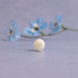 Pote stempel - Nr. 1