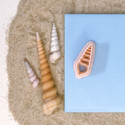 Strandskalle, trnsnegl udstikker med prgning - Nr. 4